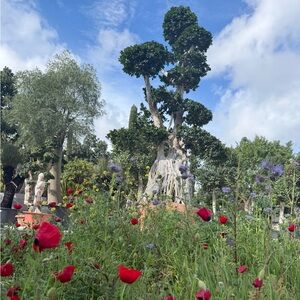 50% off two or more items! ❤️💥🍓🎩